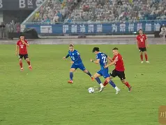 大发娱乐官网-队员技术精湛，精彩进球惊艳全场的简单介绍